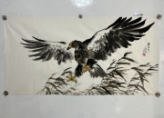 老鹰险胜掀起高潮，官方宣布新规关键表现点燃全场！